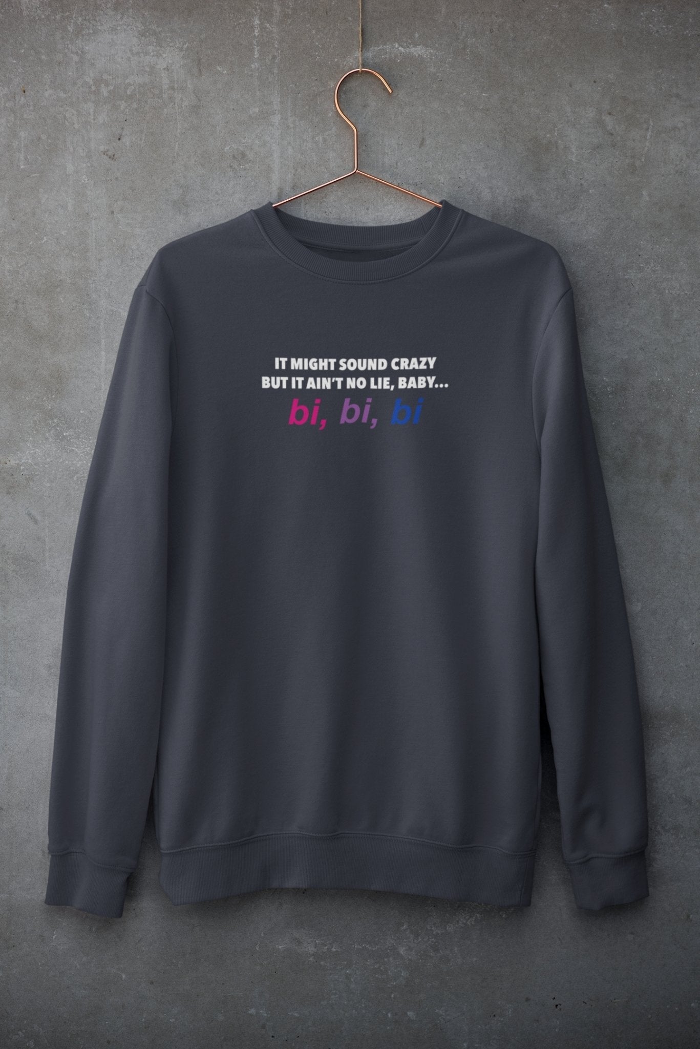 Bi, Bi, Bi, Sweatshirt - HEY BUB